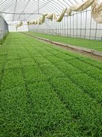 ���̏�ɂ���r

�����x�̐��x�Ŏ����I�ɐ������ꂽ����